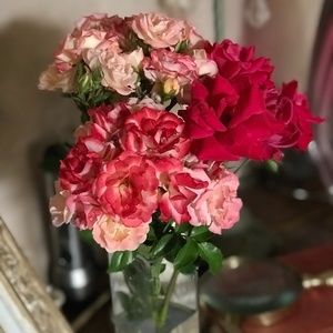 Meet your Posher, Chantal